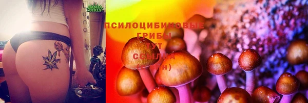прущие крисы Арсеньев
