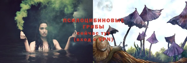 стаф Армянск