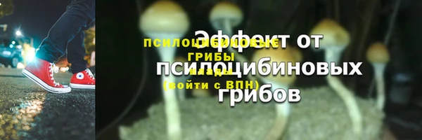 прущие крисы Арсеньев